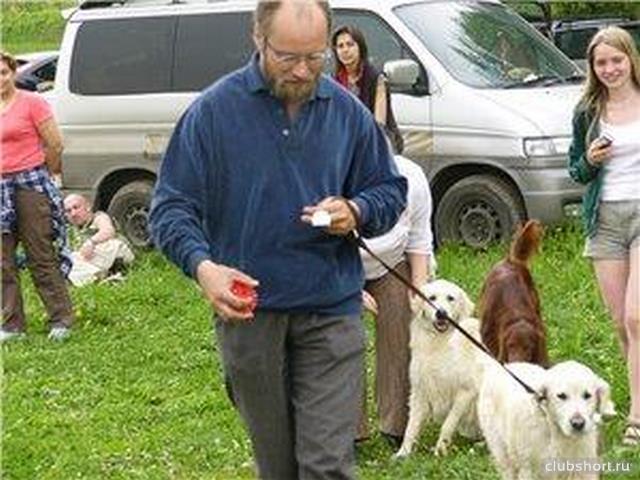 20314_dog3.jpg